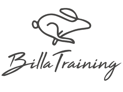 BillaTraining | Réalisation d'une application web et d'une application mobile sur l'entrainement sportif